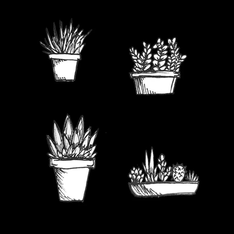 small hand drawn succulents illustration