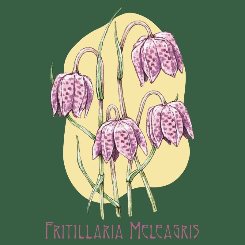 Cube checkerboard botanical drawing