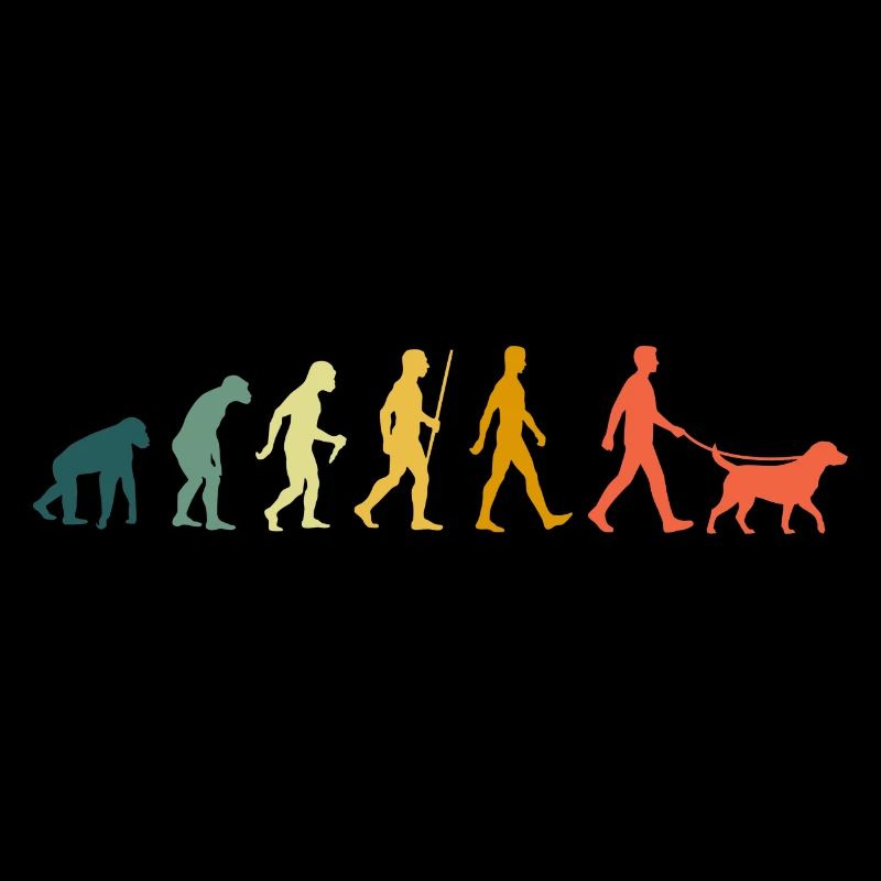 Labrador Evolution Retro Hunde Labrador Retriever