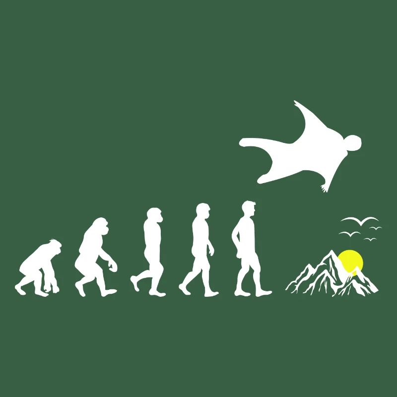 Wingsuit volant Base Jumping Skydiving Evolution