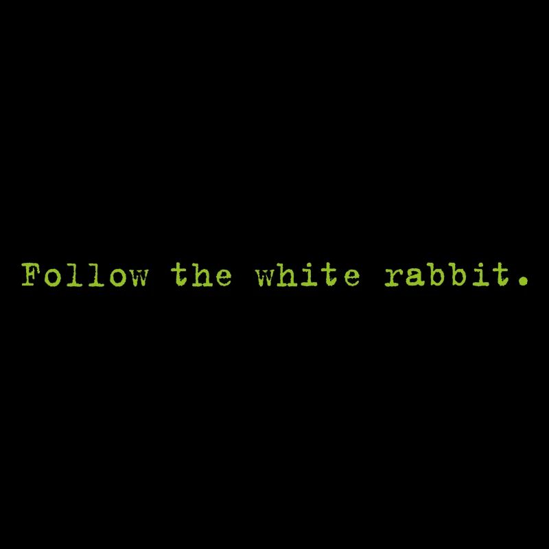 Follow the white rabbit Programming Informatik