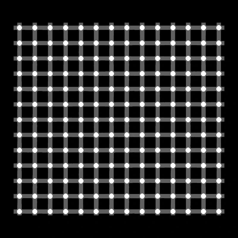 OPTICAL ILLUSION