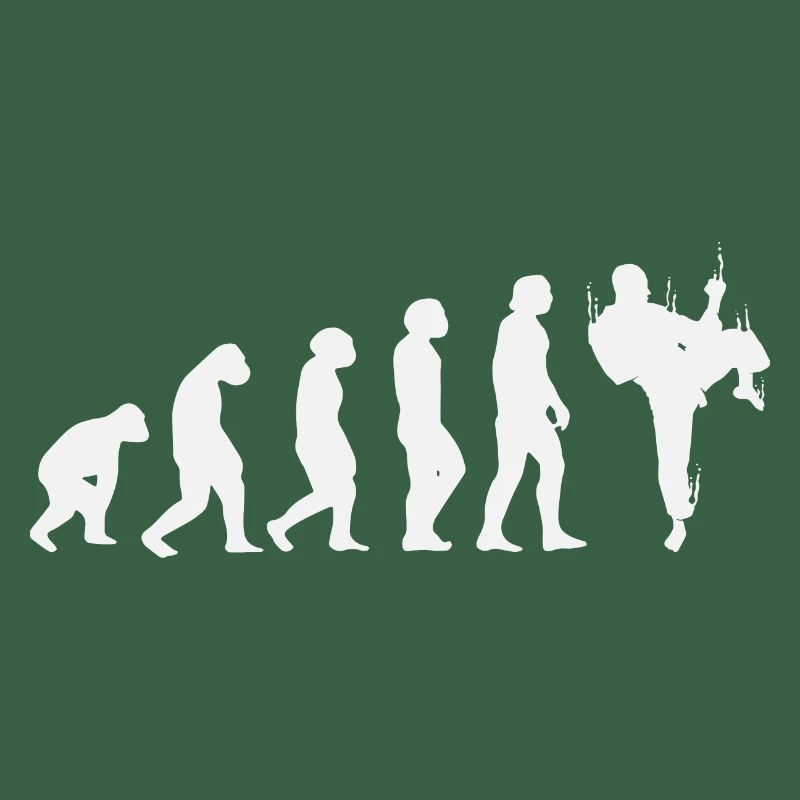 Évolution du karaté