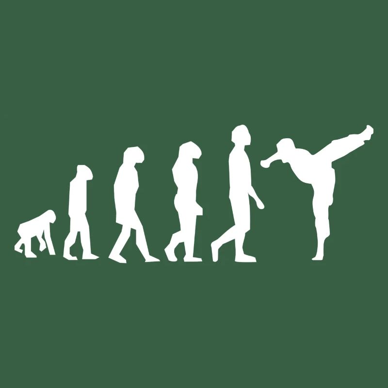 Art martiaux évolution