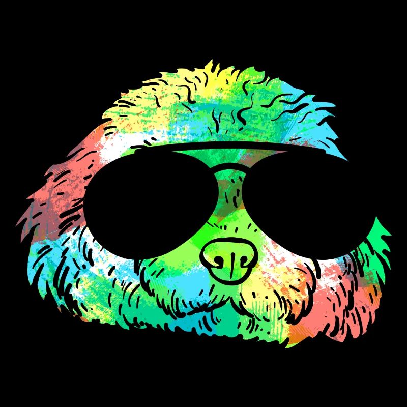 Cavapoo Cavoodle Capoodle Hund