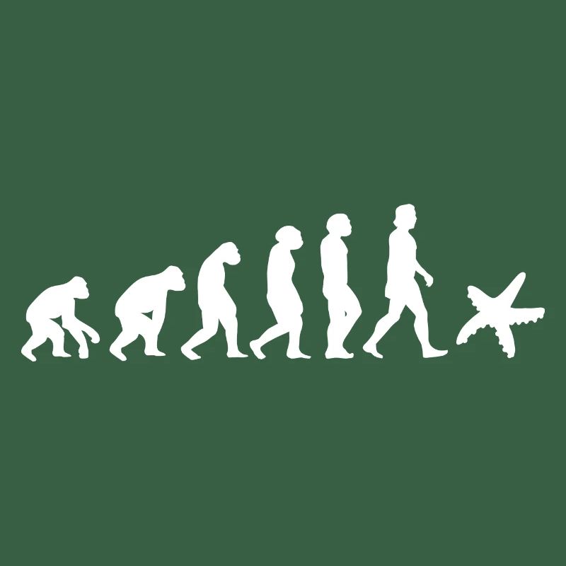 Seestern Meerestier Evolution der Menschen Tiere