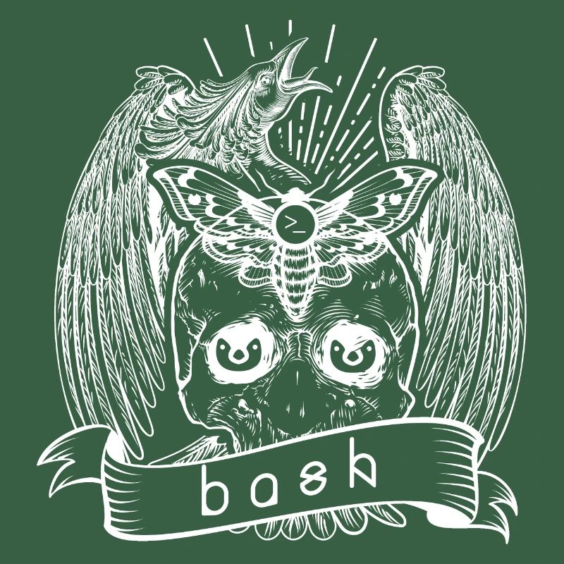 bash shell linux