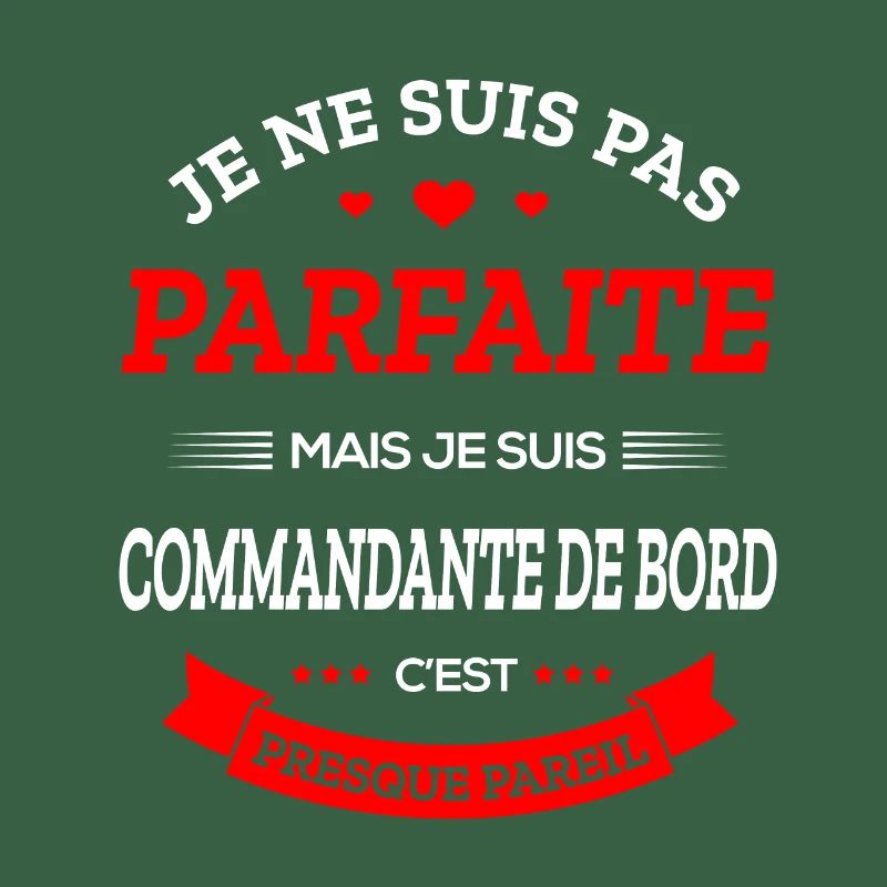 COMMANDANTE DE BORD PARFAITE