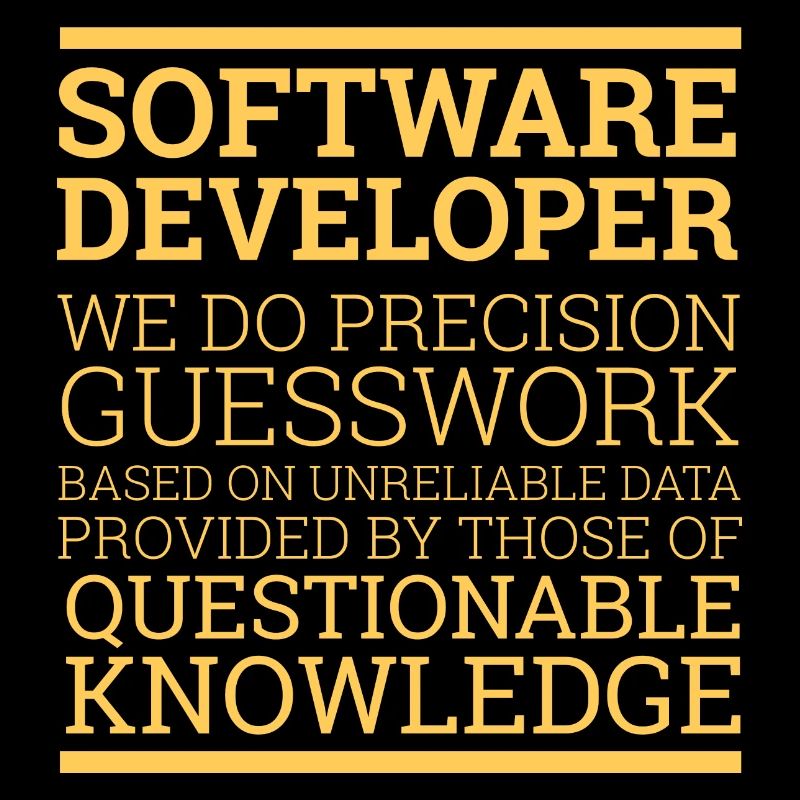 "Software Developer" | Programmer