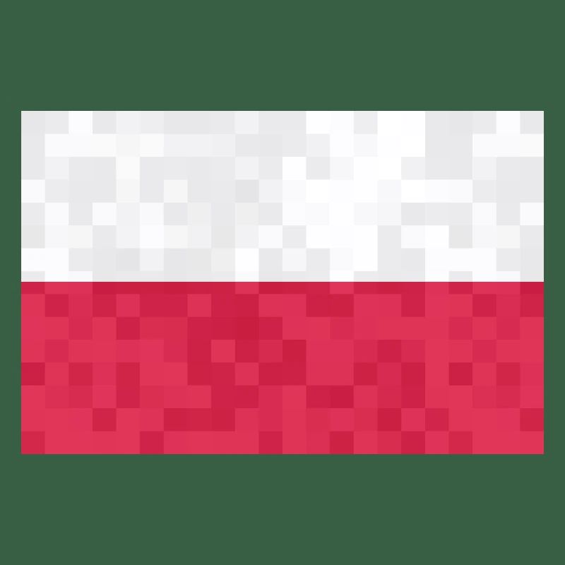 Pologne Drapeau utilisé Look Polska Drapeau polonais
