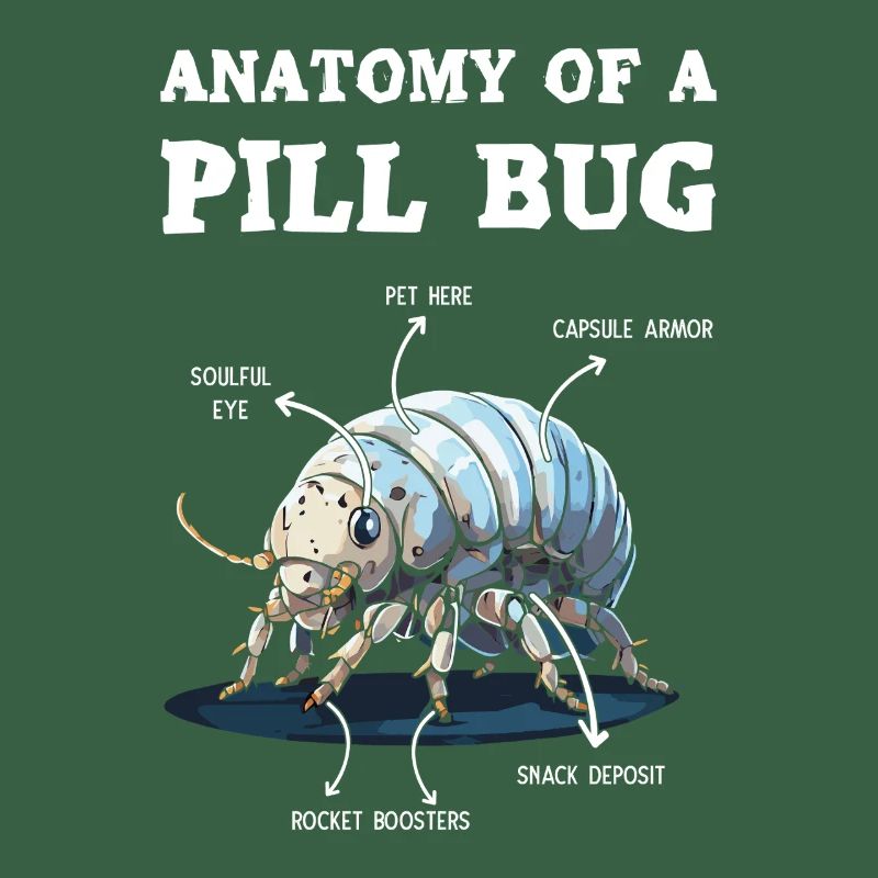 Anatomie Eines Pillenbugs