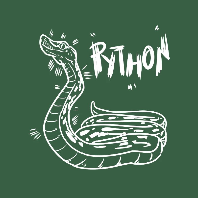 Python