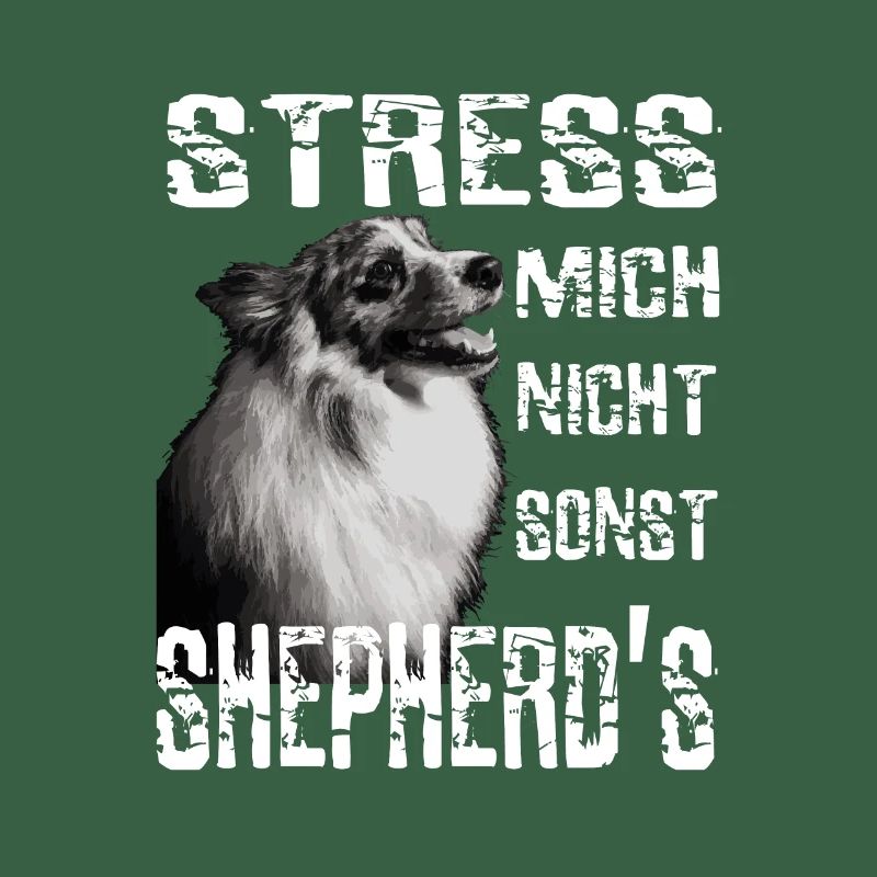 Do not stress me otherwise Sheperds Aussie Sheperd