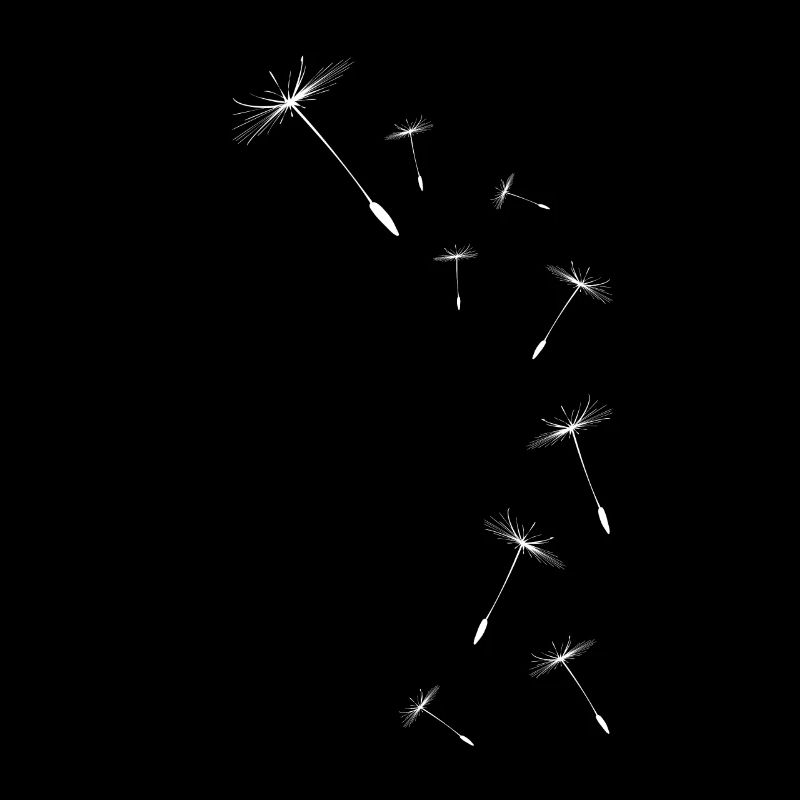 Pusteblume Löwenzahn Motiv Samen Dandelion Same
