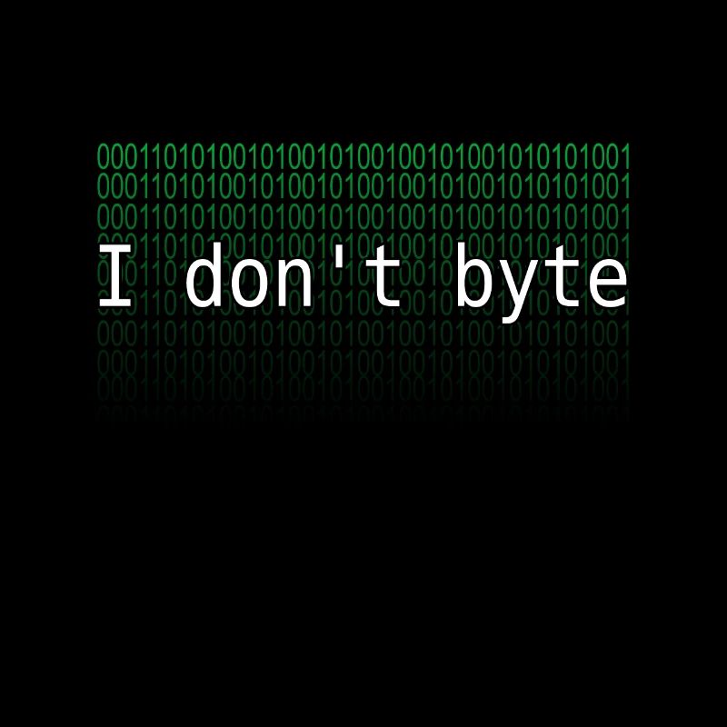 programmeur