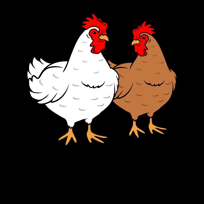Poulets poules poulets