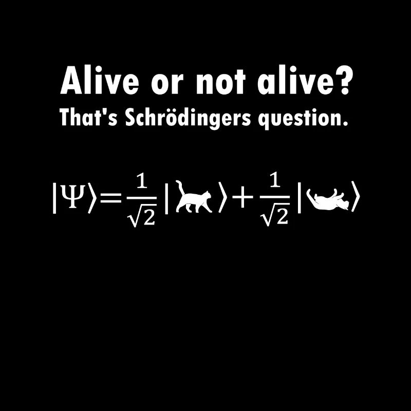 Schrödingers Katze - Physiker Geschenk Physik Nerd
