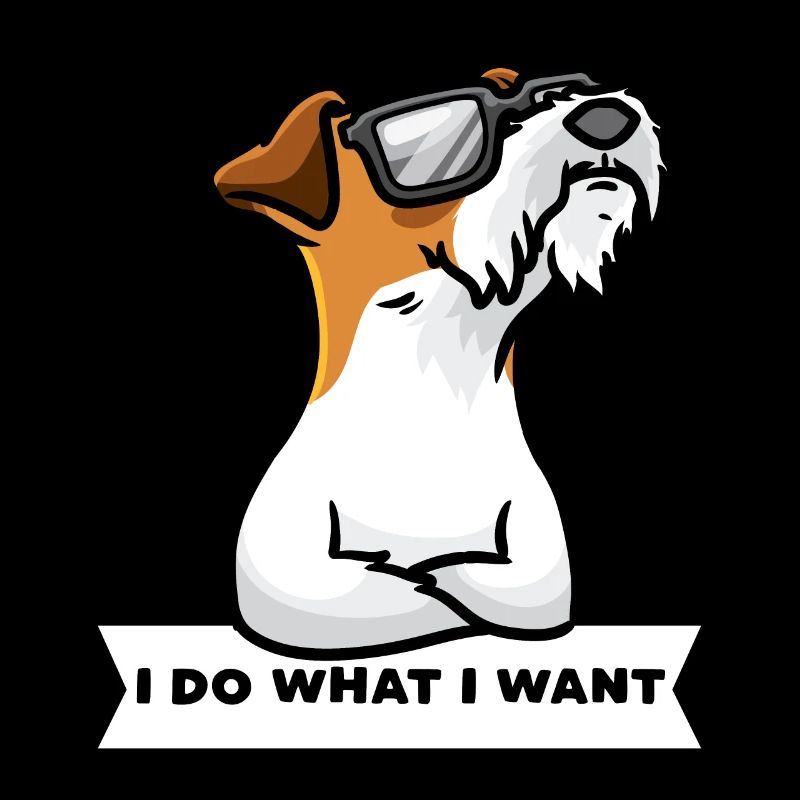 Sturer Foxterrier Drahthaar Hund