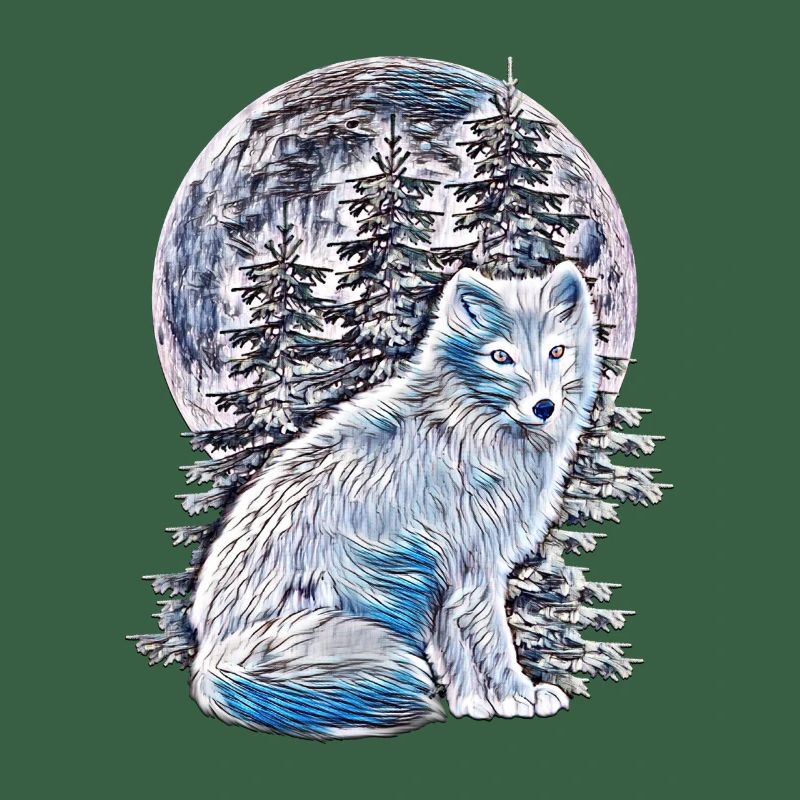Polarfuchs