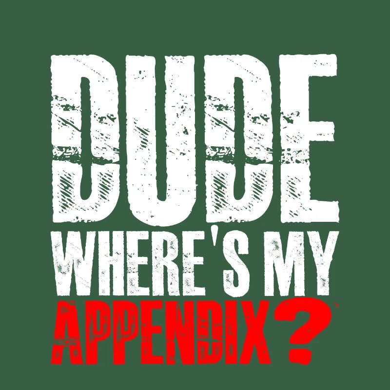 Dude Where's My Appendix 3