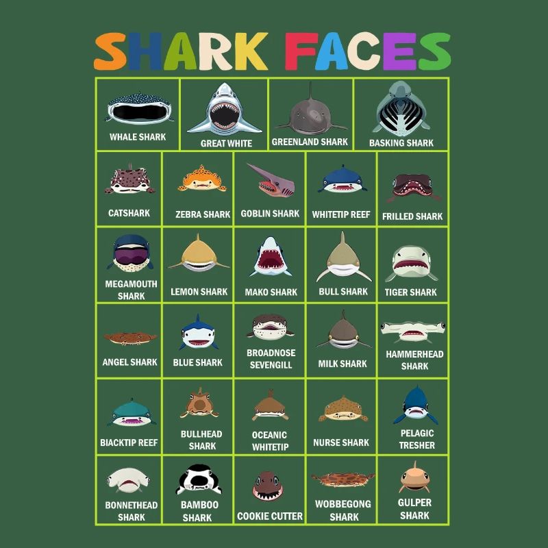 Types de visages de requin. Identification du visage du requin