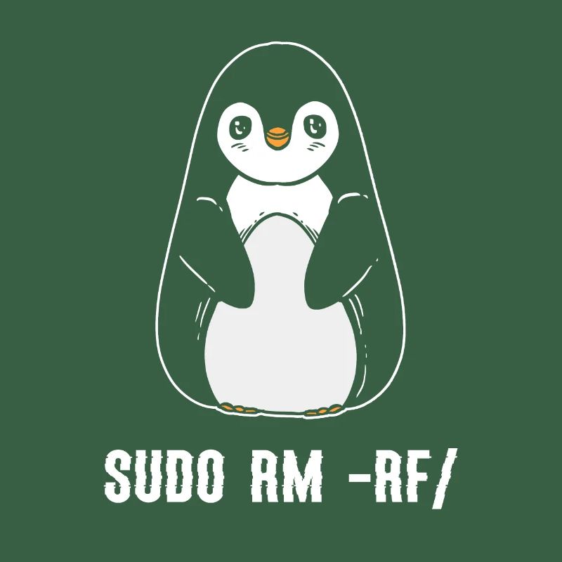 sudo rm rf / Linux Computer Programmer