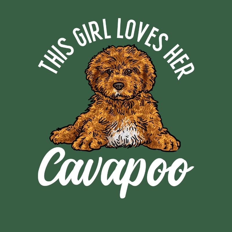 Cavapoo Cavoodle Capoodle Hund