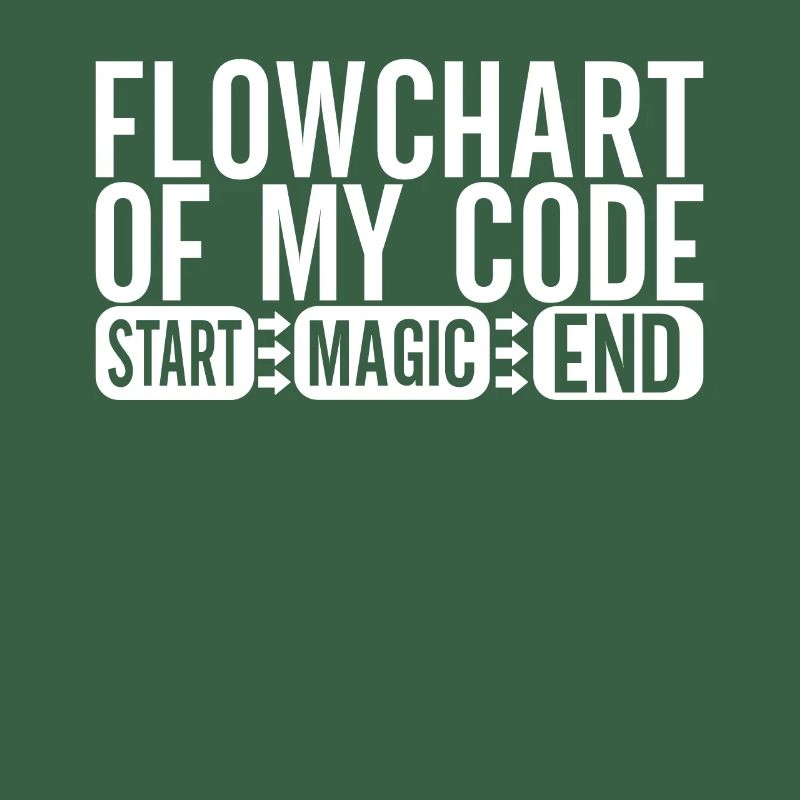 Programmierer Informatiker