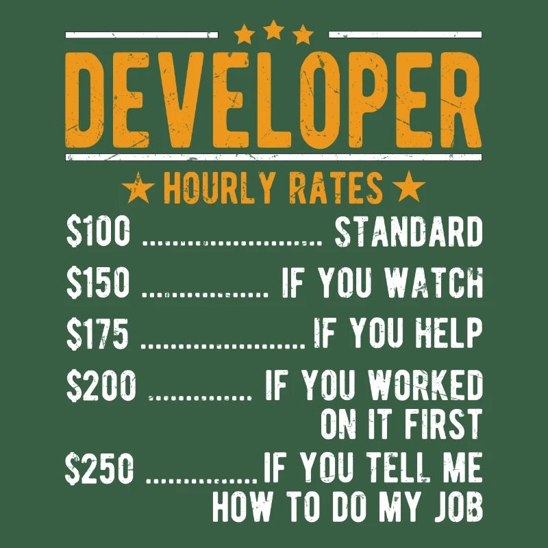 Developer Hourly Wage