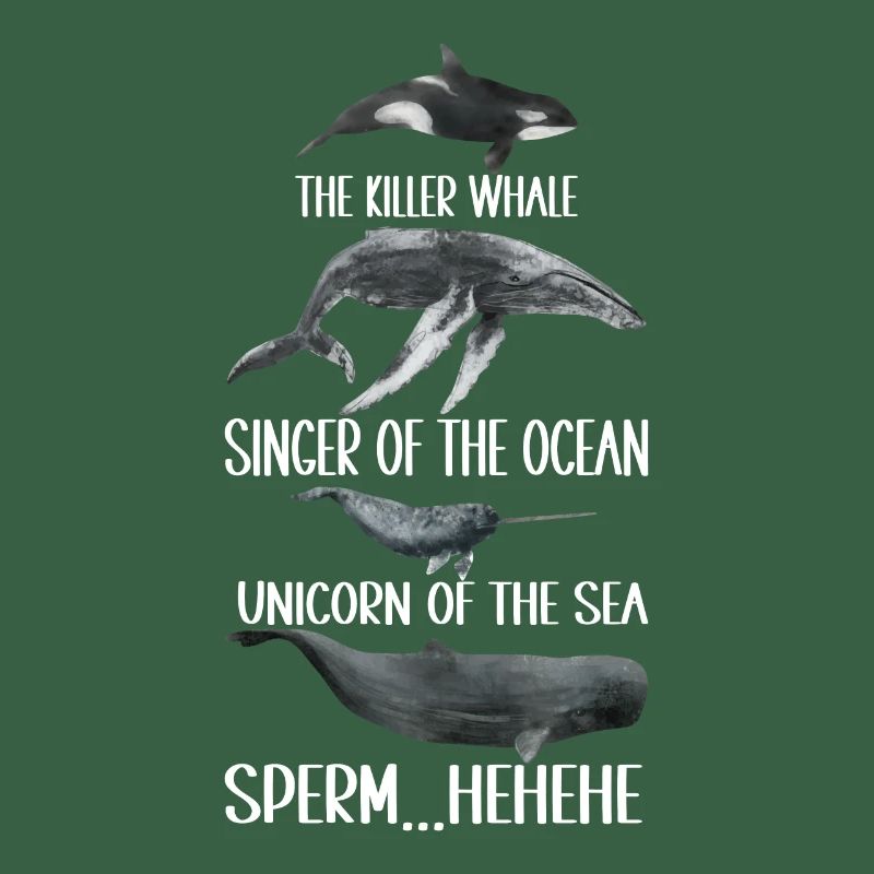 Observateurs de baleines