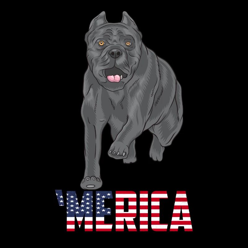 Cane Corso Merica