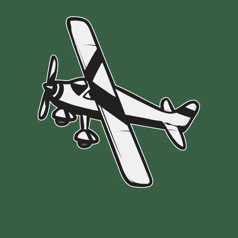 Modèle d’avion télécommandé