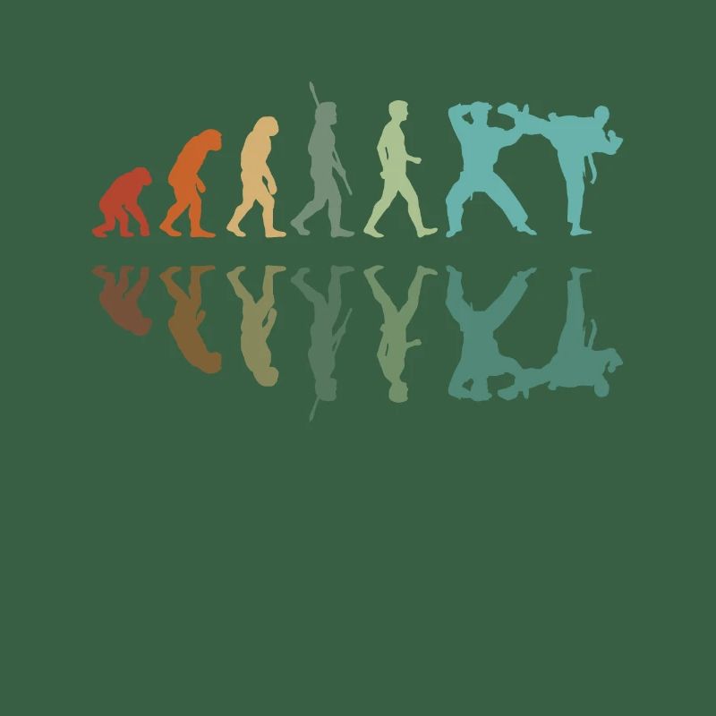 Karate Evolution