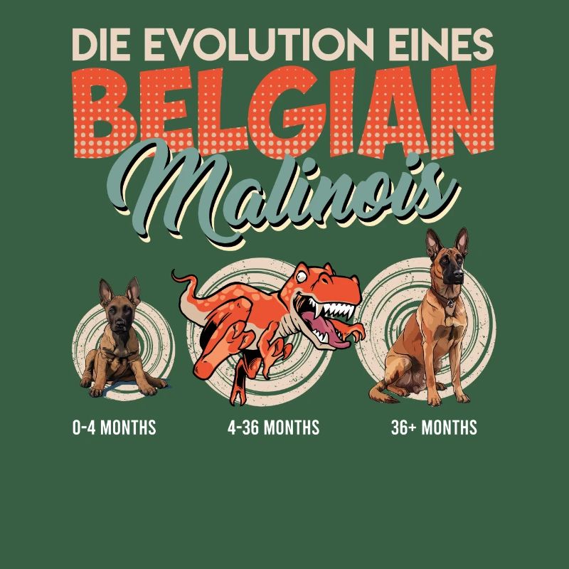 EVOLUTION EINES BELGIAN MALINOIS Belgischer