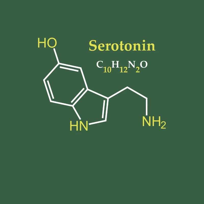 Sérotonine Molécule