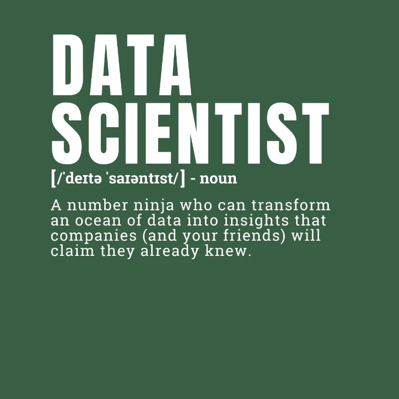 Drôle Data Scientist Définition Profession Occupat