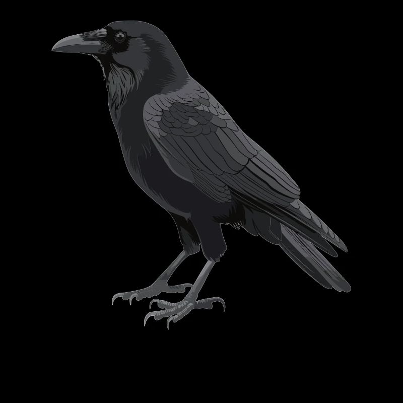 Corbeaux Corbeaux