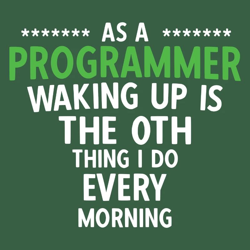 Software Ingenieur Informatiker Programmierer