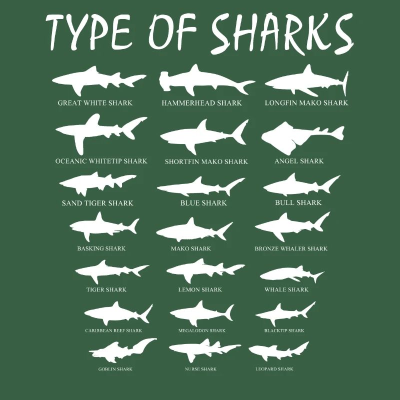 types de requins