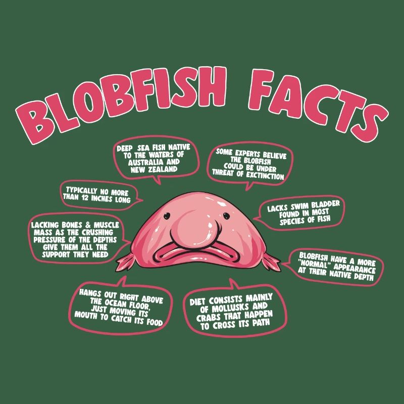 Blob fish