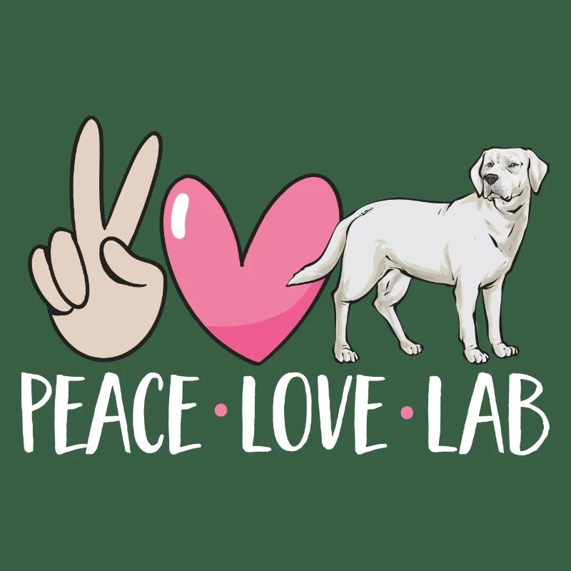 Labrador Retriever blanc Labrador Labrador blanc