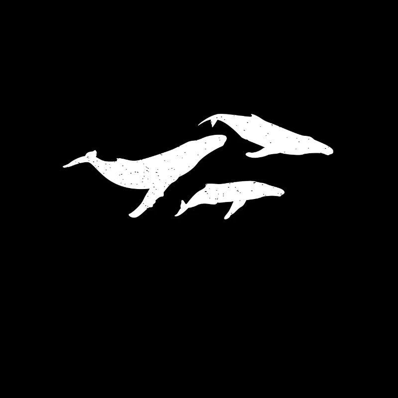 Baleines Marines Animaux marins Baleines