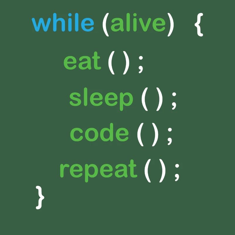 Python Coding Software Developer