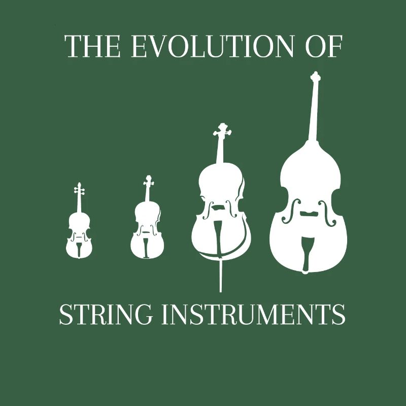 Kontrabass Spruch Streichinstrumente Evolution