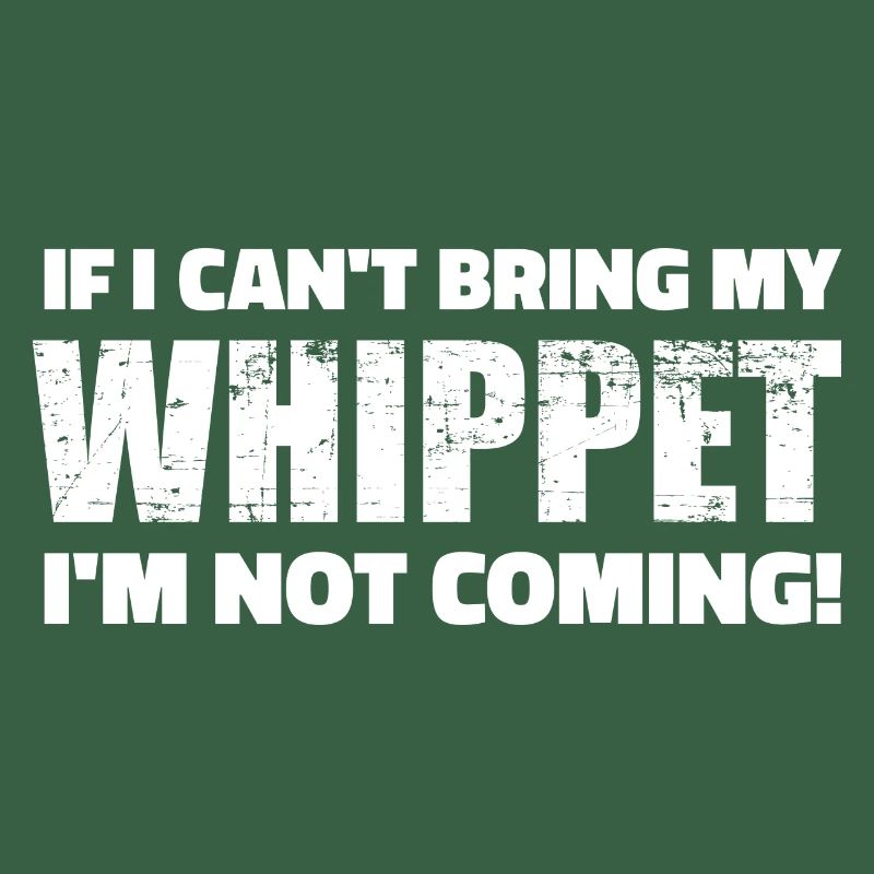 Whippet