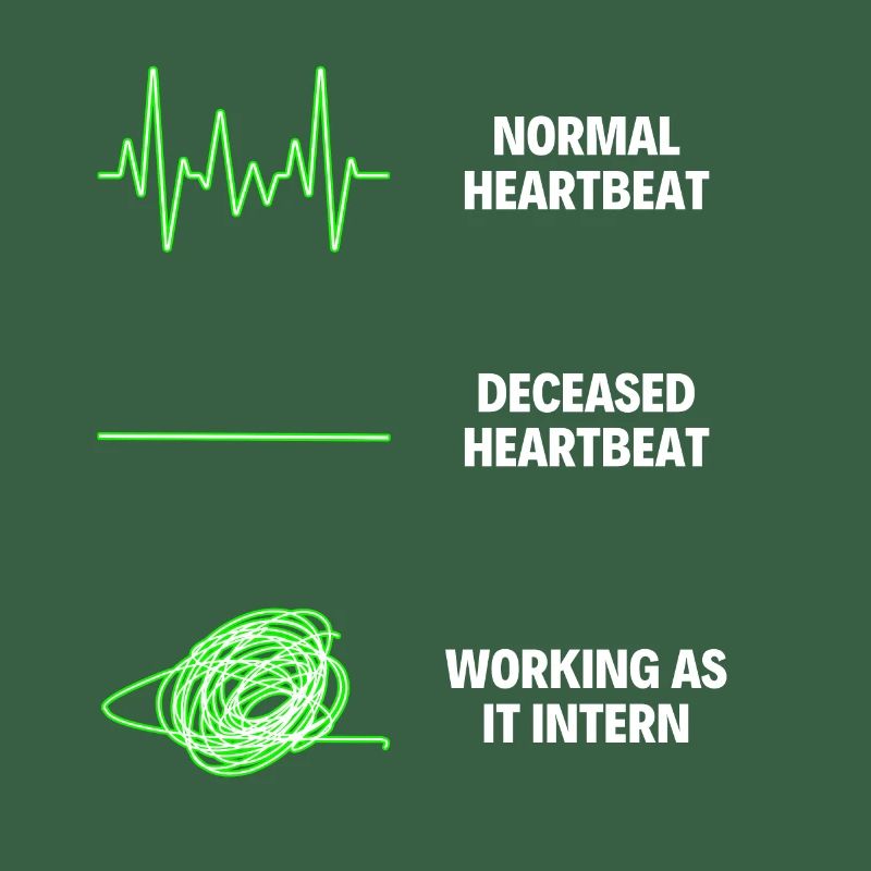 IT Intern Worker IT Computer