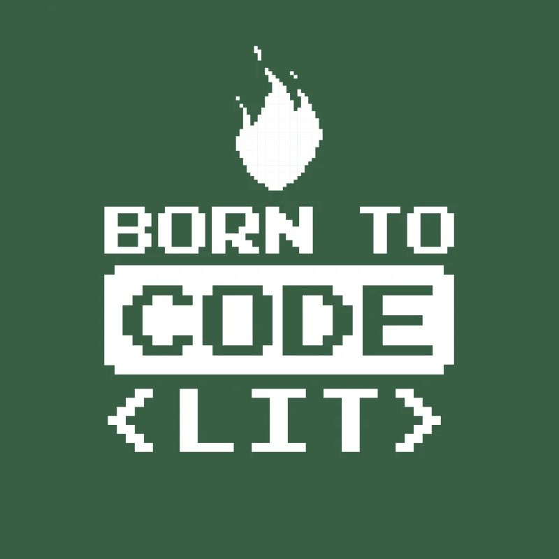 Developer Coder Programmer Funny