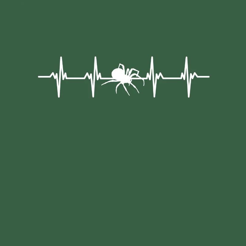 Spiders Spider web web arachnid legs 8 spider