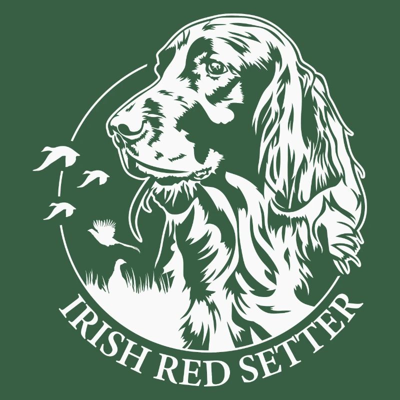 Irish Red Setter Jagdhund Jagdhunde Hunde Wilsigns