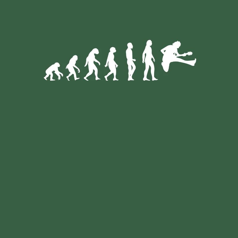 evolution guitare